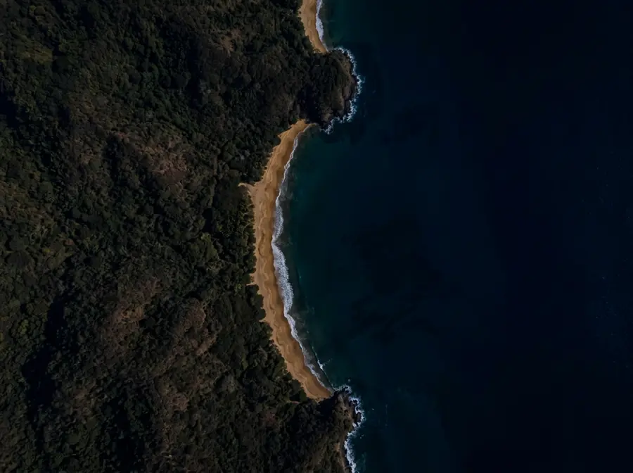 Satellite map of the survey area